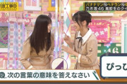 【乃木坂46】こいつら・・・堂々とイチャつきやがって・・・