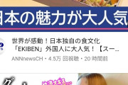 【速報】日本の「EKIBEN」が海外にバレて大人気！！世界が感動！！