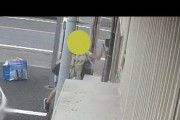 【節電？】謎の大荷物女が屋外のコンセントを抜いてまわり自販機やすし店に被害