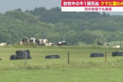 【北海道】牛４頭クマに襲われたか！？２頭が死ぬ…背中に引き裂かれた傷