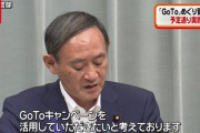 【枝野幸男】政府がここまで的外れな対策しかできなかったのは、緊急事態条項が憲法に明記されていないからではない
