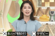 NHK福岡がサザビーをシャア専用ザクと間違えてしまい謝罪
