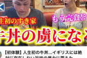 【画像】イギリス人姉弟「日本のビーフライスは終わってる」