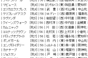 【枠順確定】5/17(日) 第21回ヴィクトリアマイル(GⅠ) part3