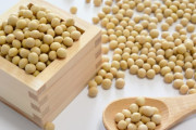 日本食って大豆が絶滅したら終わるよな