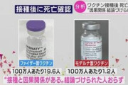 【悲報】ファイ卒「異物混入とかヤバすぎw」 ファイザー「……すまん」