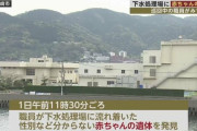 へその緒のついた状態の赤ちゃんが下水処理場で見つかる…