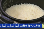 10年前の2015年産「古古古古古古古古古米」を食べてみた結果ｗｗｗｗｗｗｗｗｗｗ