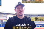 プロ野球選手100人分の1位　パワーヒッター部門2023