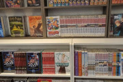 ブラジル人「本屋に行ったら半分がマンガだった、お前らの国でも同じか？」