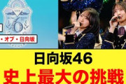【朗報】日向坂46グループ史上最大の挑戦が始まる！！【6回目のひな誕祭】