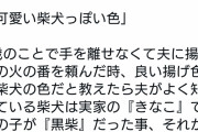 女さん「キツネ色に揚げといて」男さん「キツネ色？」