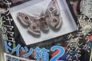 【少年の日の思い出】万人に刺さる蝶のおもちゃが発見されるｗｗｗｗｗｗｗｗｗｗ