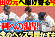 西武源田＆今井、8連敗で泣く←カープファンの反応