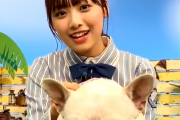 日向坂46濱岸ひより、3/11放送『どうぶつピース！！』可愛すぎるワンキュン動画に登場！