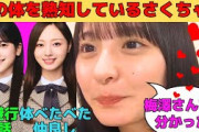 【遠藤さくら】梅澤美波の体を熟知しているさくちゃん/新しいモノマネを披露するさくちゃん/鈴木佑捺との逃避行裏話/林瑠奈へのモケケのお土産/文字起こし（乃木坂46・のぎおび）
