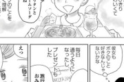 【過剰】なんだよこの漫画ｗｗｗ【注意】