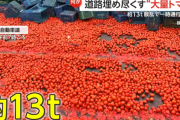 【悲報】 東北道、積み荷が散乱しトマトで埋め尽くされてしまう