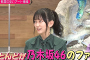 早出さんのフォロワーほとんどが乃木オタだったｗｗｗ【乃木坂46】