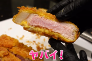 ヒカキンさんレアすぎるトンカツを作ってしまい無事炎上