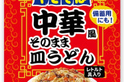 焼きうどん好きなやつ0人説