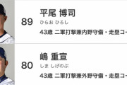 【朗報】西武ライオンズ、松坂と一緒にデニー、奈良原も招聘へ
