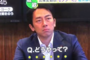 【悲報】海外記者「日本はどうやって火力発電を減らす？」 小泉進次郎「・・・・」