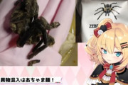 【画像】人気VTuber、タランチュラをラーメンに入れて食すｗｗｗｗ