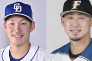 中日京田と日ハム中田のトレードってどうや？