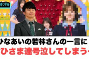 ひなあいの若林さんの一言におひさま達号泣…[日向坂46