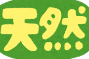 【画像】こういうお胸って天然なんだって？【小池栄子】