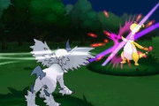 【疑問】ポケモンで急所っているか？