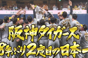 道頓堀、やっぱり阪神ファンが飛び込みまくってカオスｗｗｗｗ