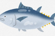 魚の実は美味しい部位ｗｗｗｗｗｗｗｗｗｗｗｗｗｗｗｗｗ