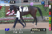 【日曜中山７R】ペルーサ産駒のラペルーズがｷﾀ━━━━(ﾟ∀ﾟ)━━━━!!