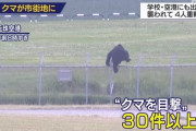 【画像】クマ、有刺鉄線さえ越えてしまうｗｗｗｗｗｗｗｗｗｗｗｗｗｗｗｗｗｗｗｗｗｗ