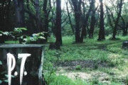 『P.T.』とかいう9年前の伝説のホラーゲーム、怖さも影響力もやばすぎる