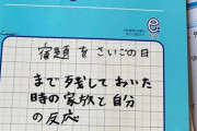 「清々しい朝を迎えている」小学生の息子の『衝撃の自由研究』がこちら！