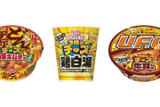 日清焼きそばUFO「チー牛味」発売wwwwwwwwwwww