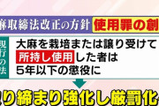 【朗報】 大麻使用罪、ガチで作られそう