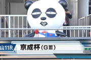 【京成杯】戸崎圭太騎手と京成パンダ　他