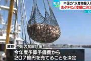 【北海道】年収３０００万円以上のホタテ漁師達「俺達以外にホタテ漁は絶対にやらせない、独占して利益を上げるんや！」→「稼げなくなったから税金で助けろおおおおおおおおおお！」