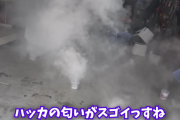 ユーチューバー「ゴキブリとネズミだらけの倉庫にバルサン炊いて根絶してみるわ」ﾌﾞｼｭｳｳｳ  → 凄いことになるｗｗｗｗｗ