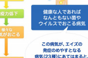 【快挙】エイズ完治の薬、日本が特許取得　2045年実用化へ