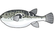 【フグの有毒部位も】漁師ら３人が海に魚のアラなど１３０キロを不法投棄→書類送検「捨てても見つからないと思った」