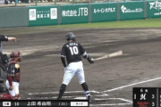 4/24 公示ｷﾀ━━(ﾟ∀ﾟ)━━!!ロッテ、上田希由翔を抹消
