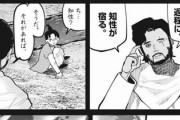【知性】なんだよこの漫画ｗｗｗ【注意】