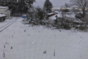 それなりに雪積もったなぁ