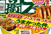 【画像】日清が迷走商品新発売