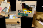 【悲報】置き配、「カラス」に突かれる被害が多発するｗｗｗｗ